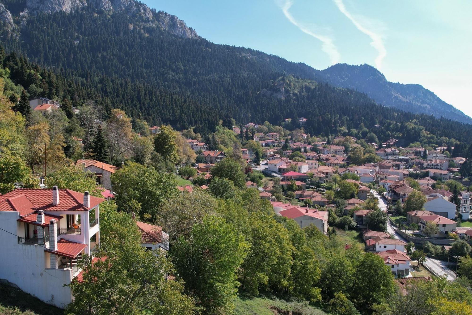 & Apartments-mihail * Elati (Trikala)