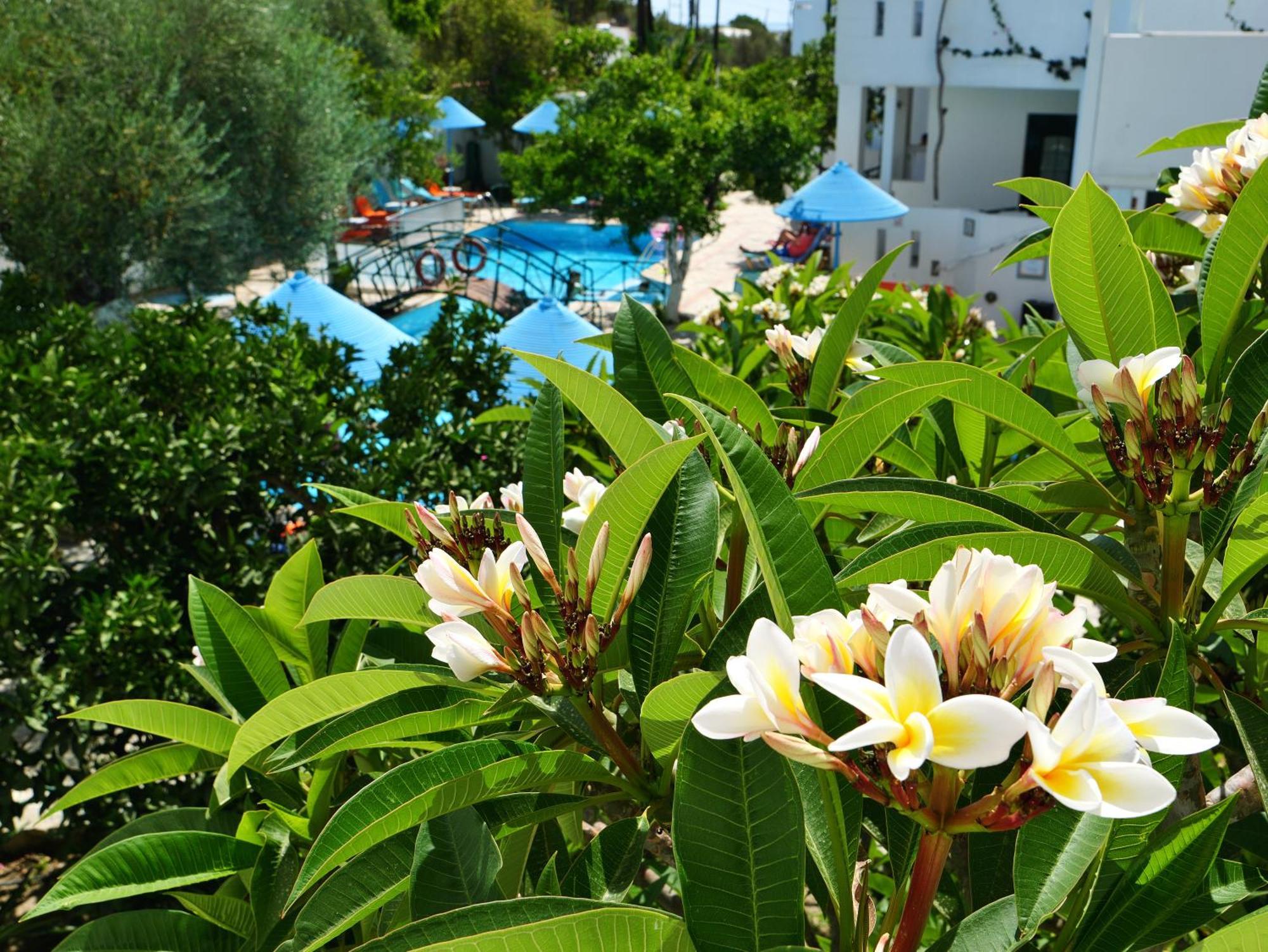 Kastro 3* Myrtos (Crete)