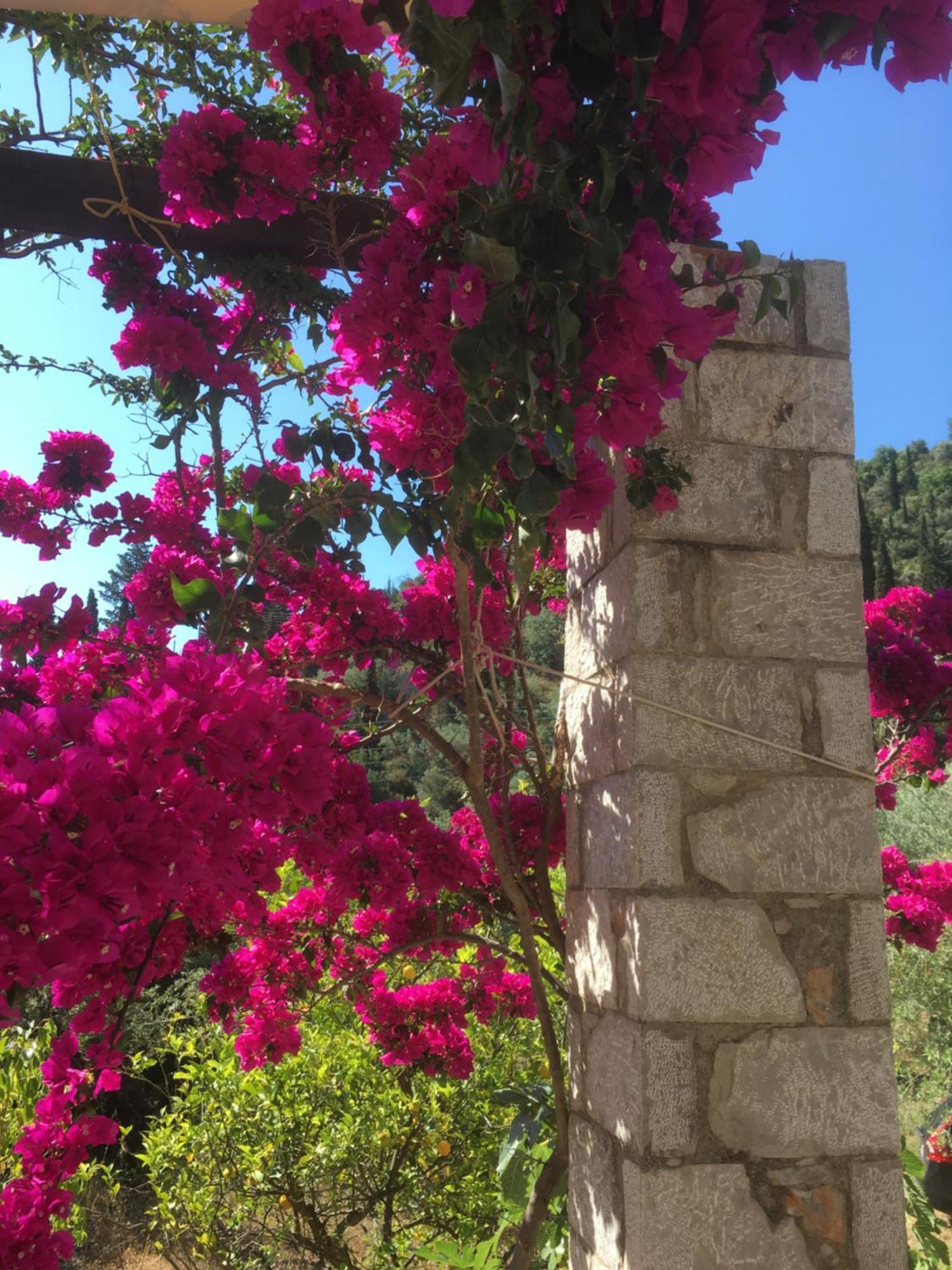 Stone House Villa Leonidio