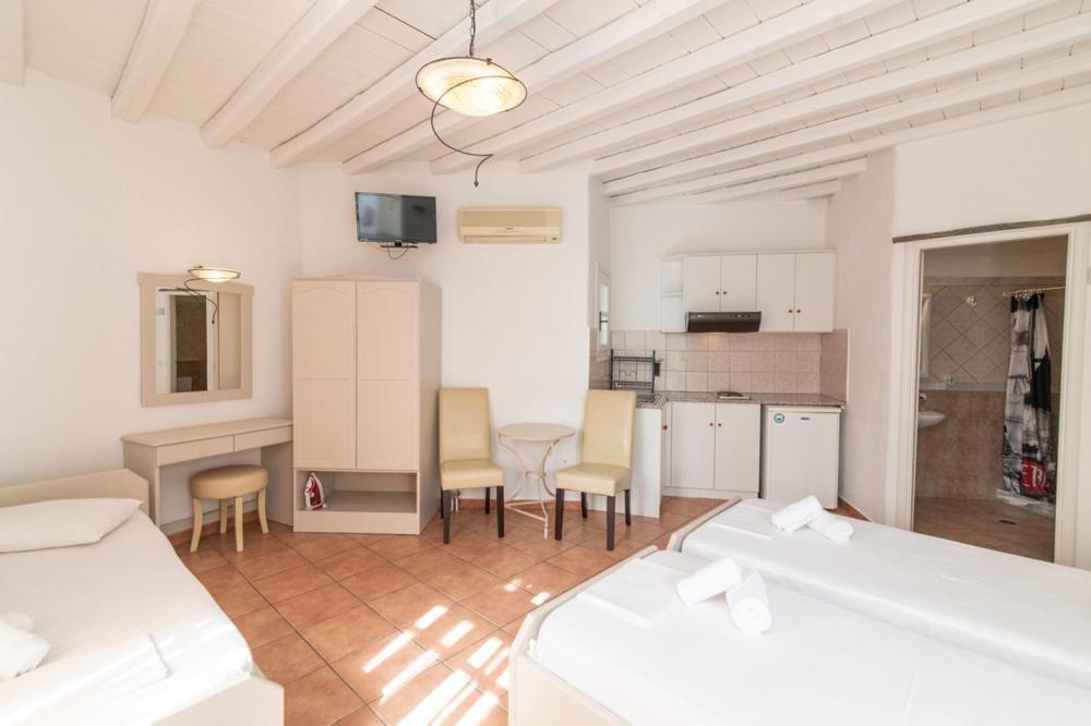 Aparthotel Apodrasi Steni