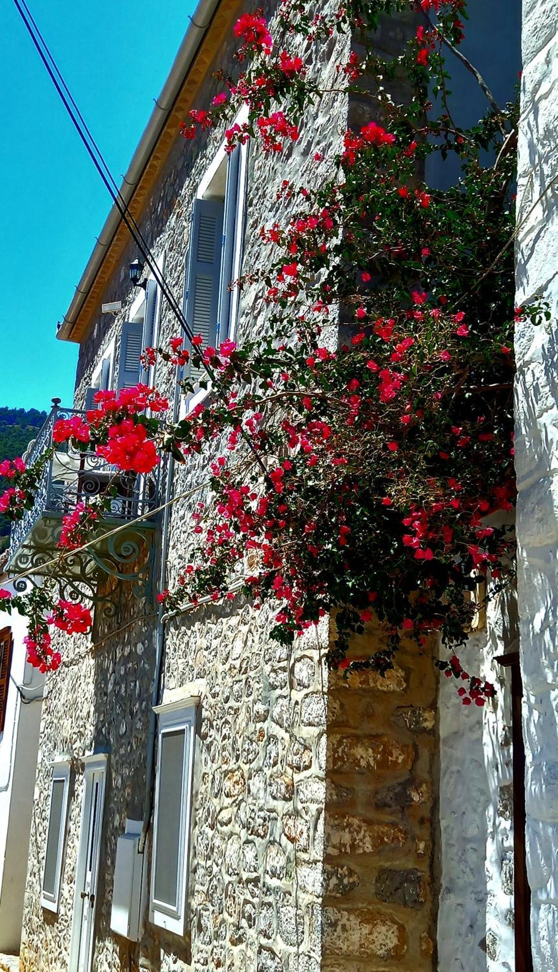 Apartment Mansion Alexandri Hydra (Saronic Islands)