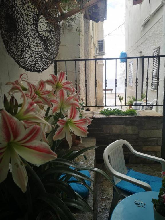 Maria's Aparthotel Afissos
