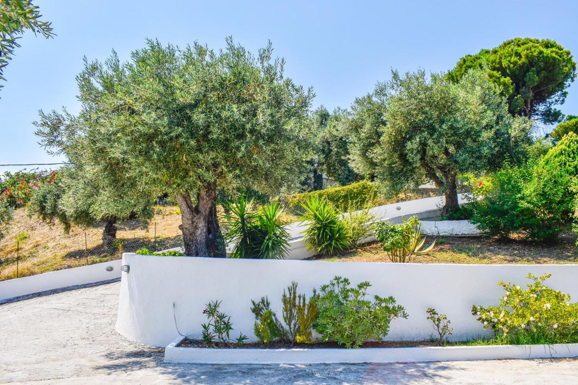 L&m Skiathos Apartment *