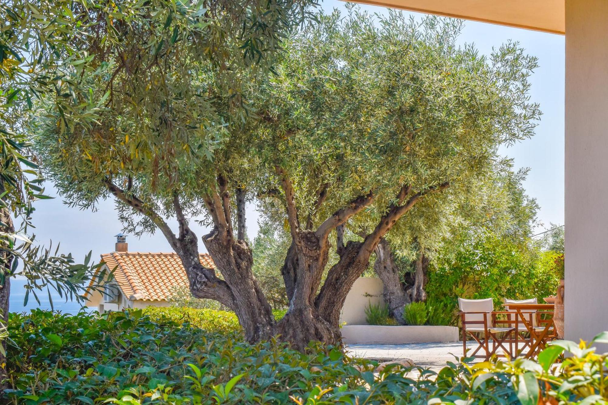 L&m Skiathos Apartment Kalivia (Skiathos)