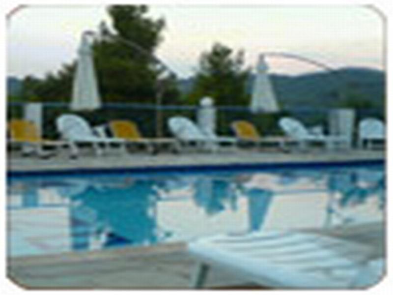 Apartment Angelina Platanias (Skiathos)