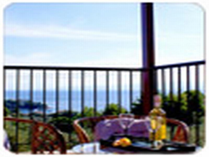 Apartment Angelina Platanias (Skiathos)