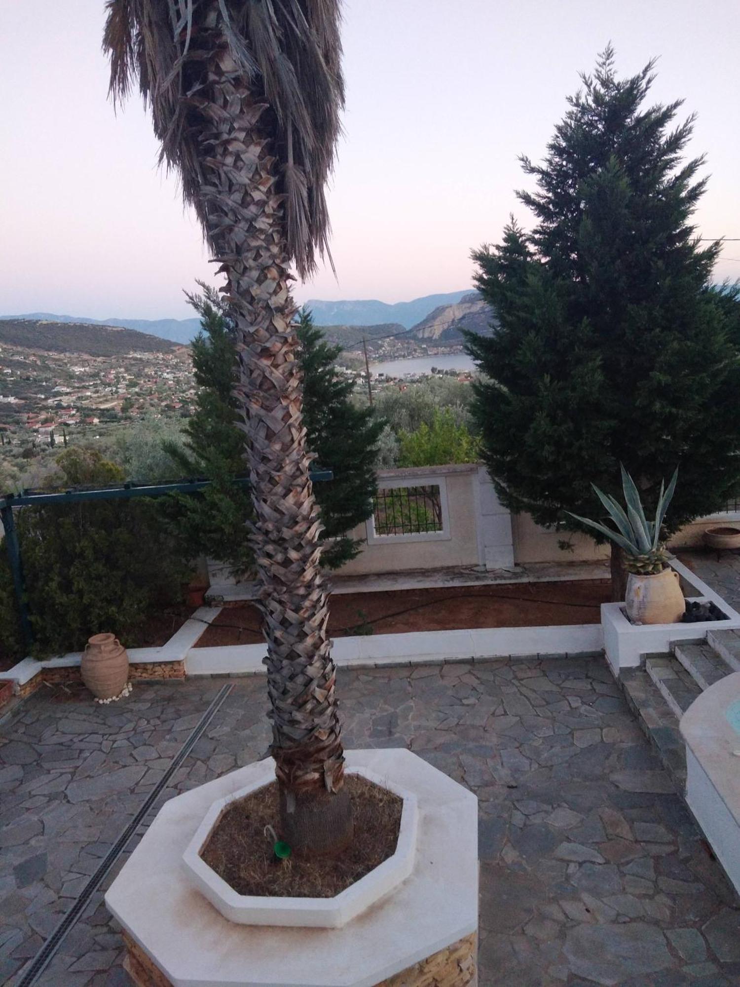 Mairy's ηouse Aliki (Boeotia)