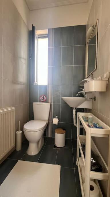 Alba - Open Plan Apartment Artemida (Attica)