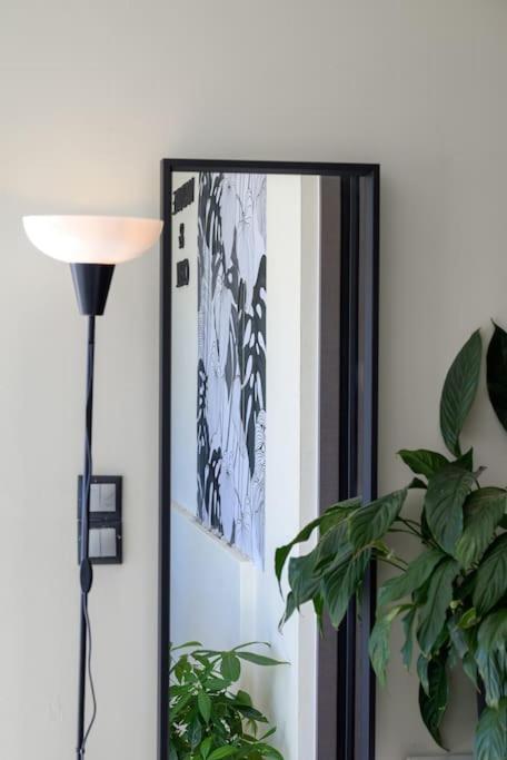 Alba - Open Plan Apartment