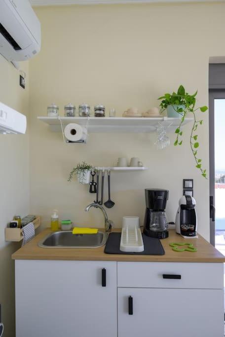 Apartment Alba - Open Plan