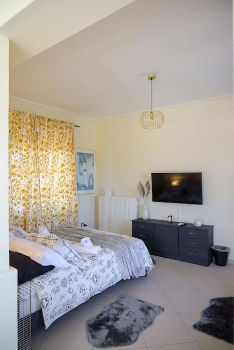 Alba - Open Plan Apartment Artemida (Attica)