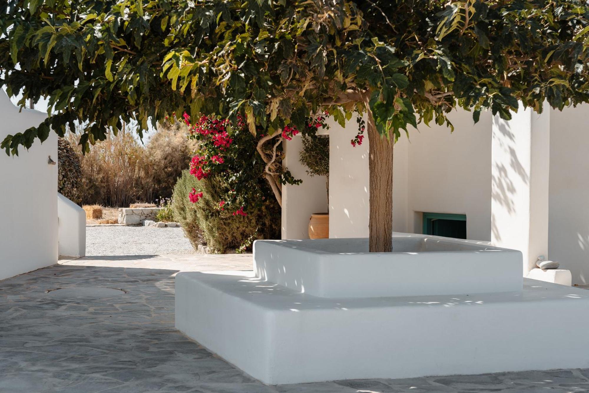 Ploes Seaside * Plaka (Naxos)