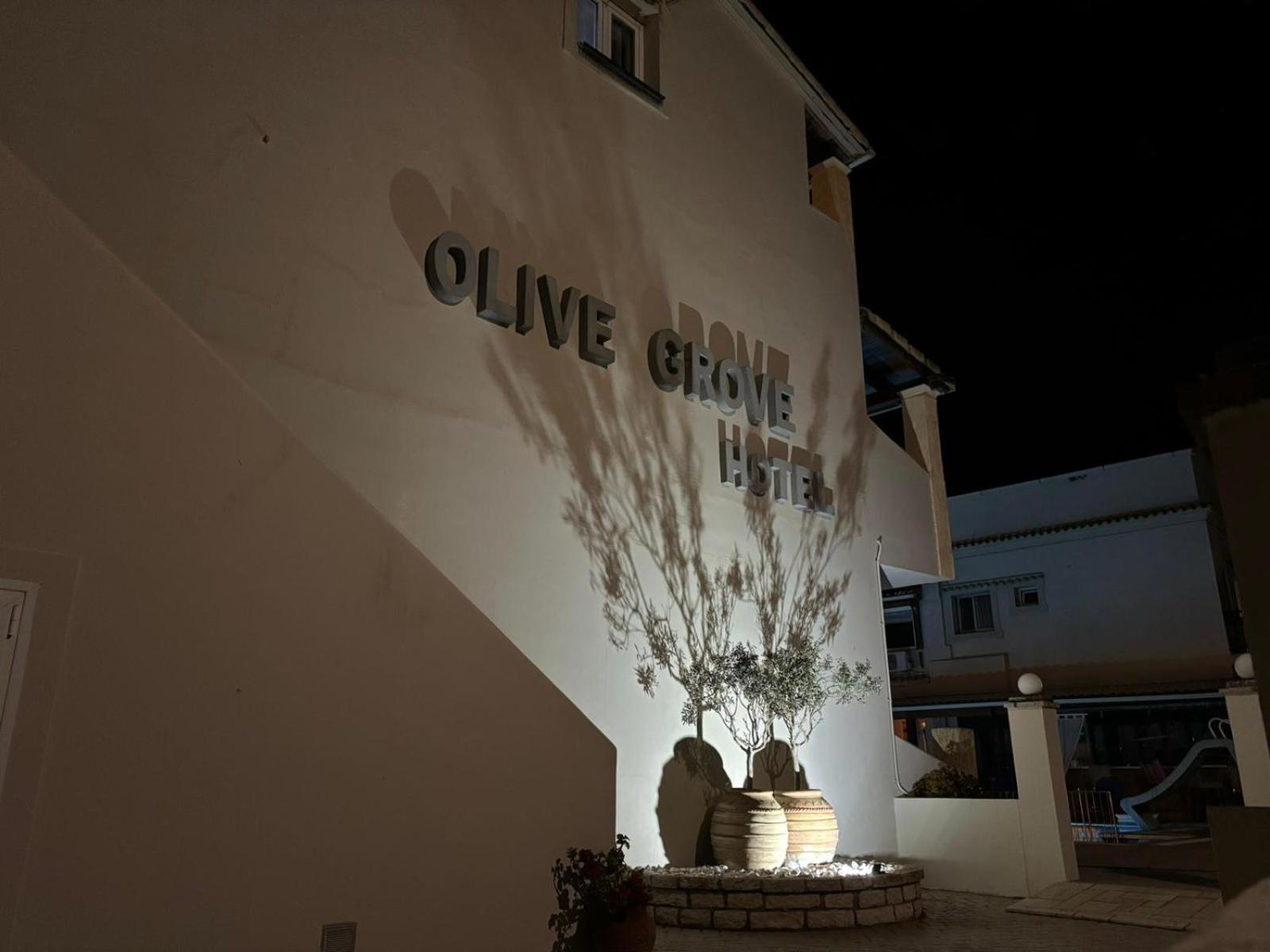 Olivegrove Apartment *