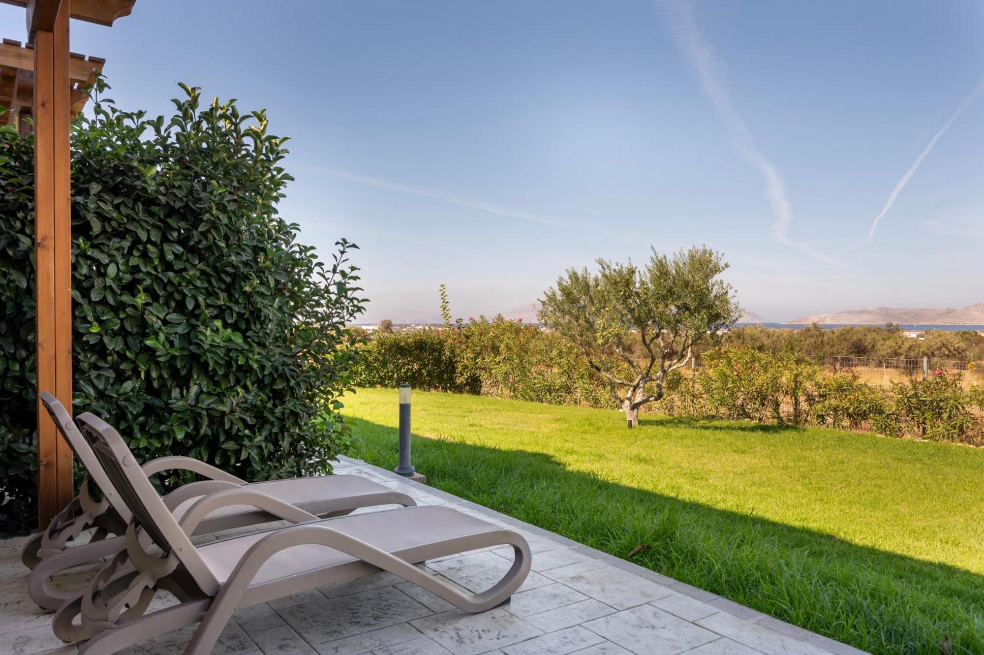 Olive Tree Garden