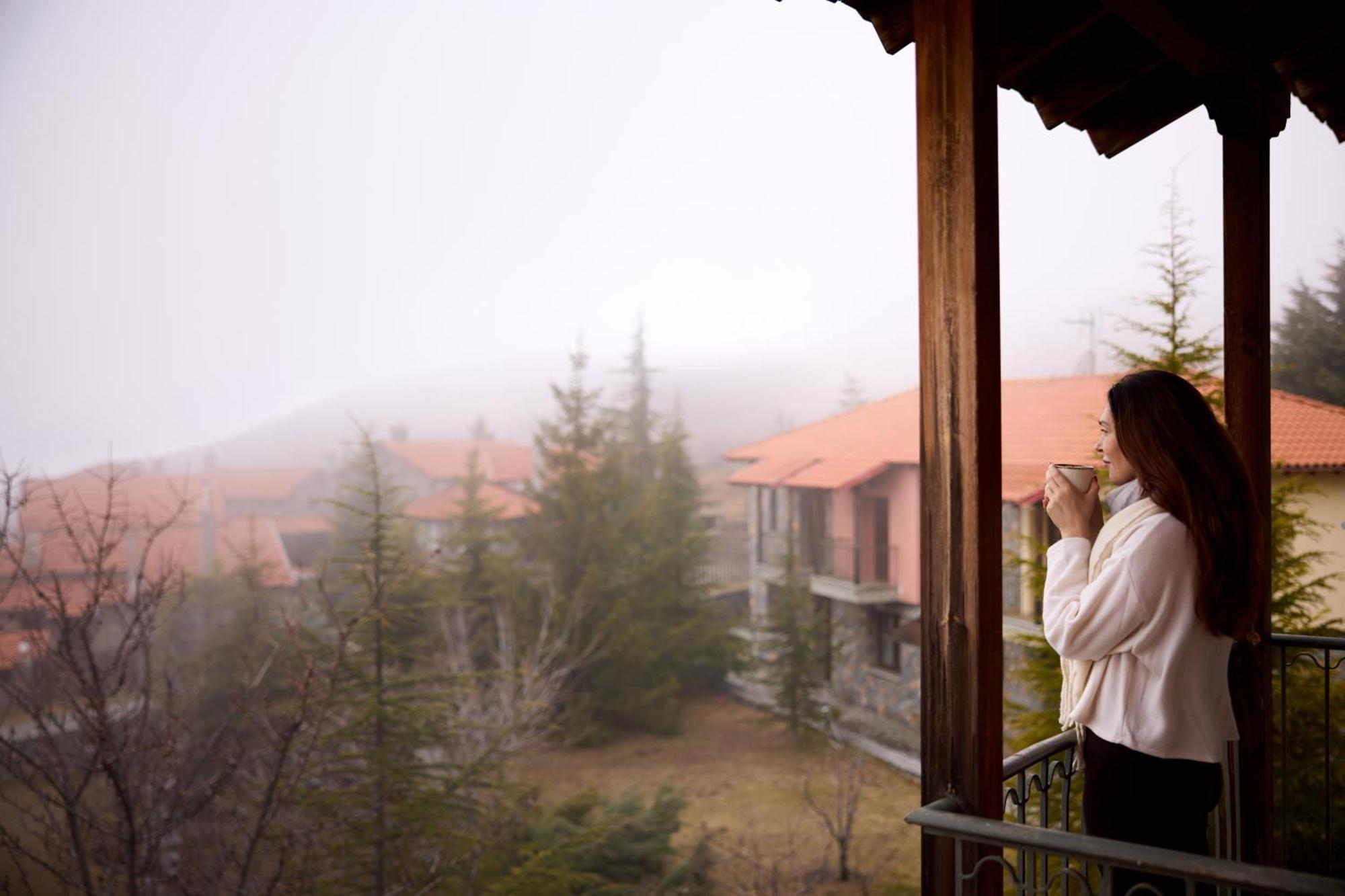 Domotel Neve Mountain Hotel Agios Athanasios (Pella)