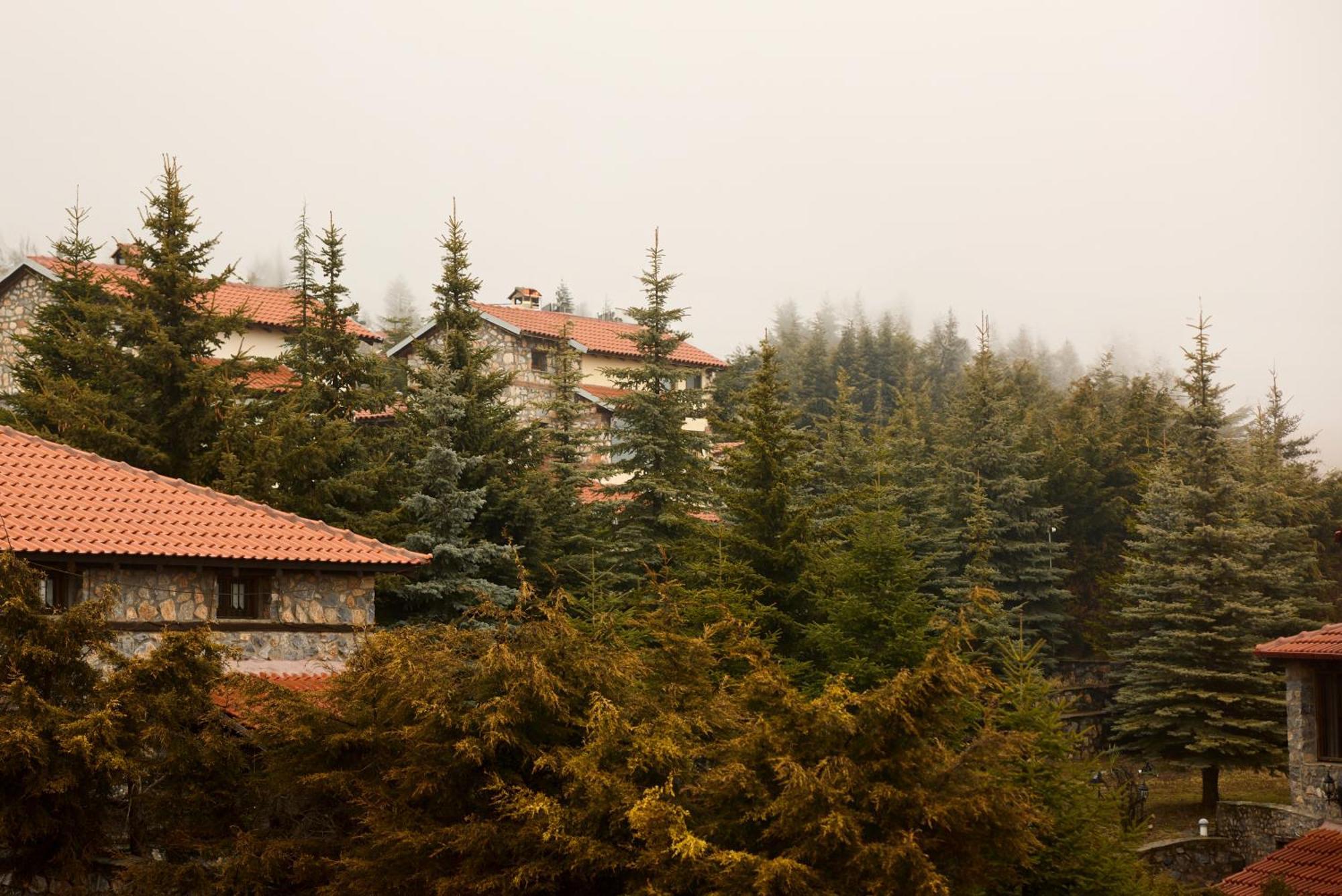 Domotel Neve Mountain Agios Athanasios (Pella)
