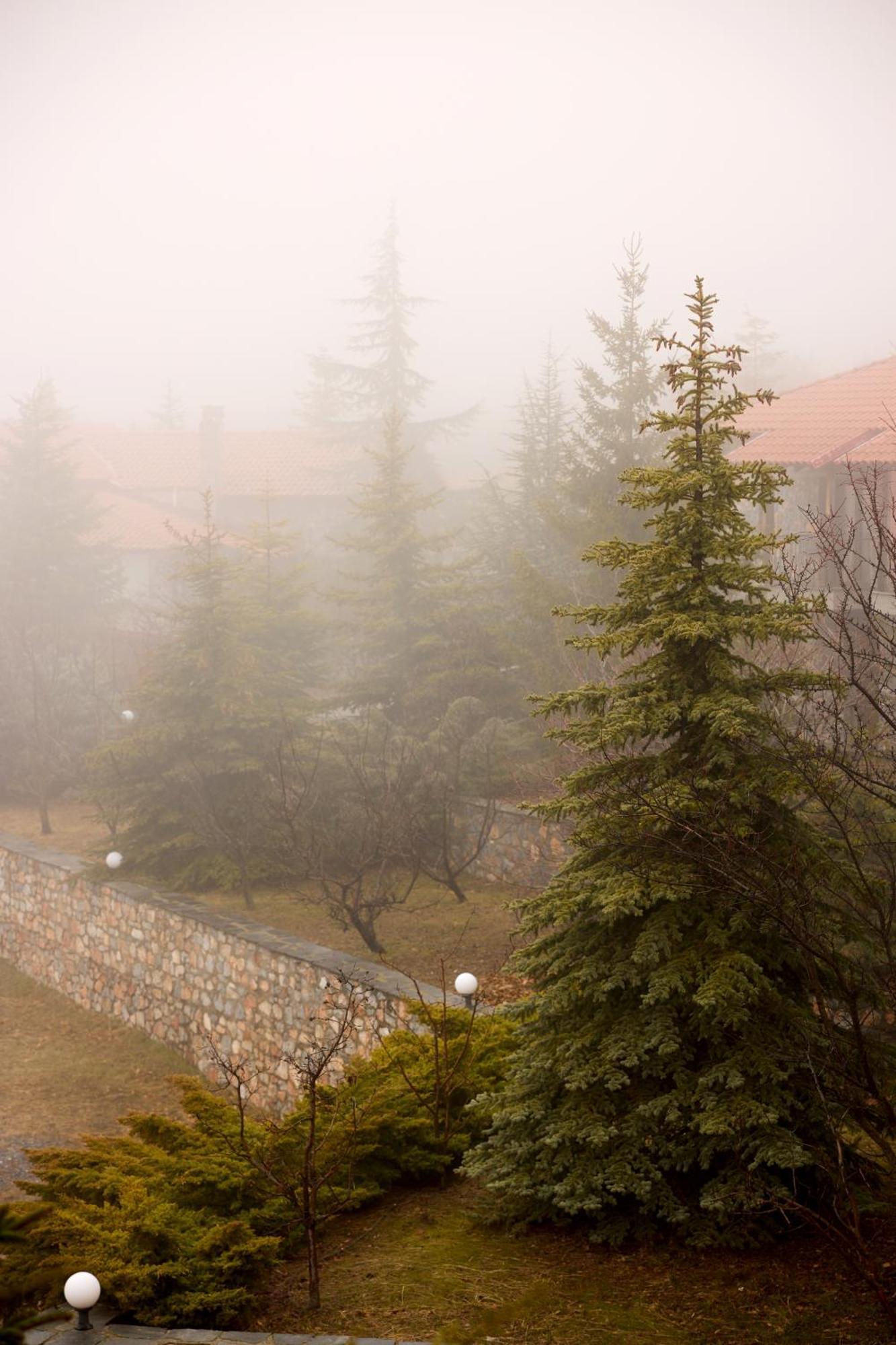 Domotel Neve Mountain 4* Agios Athanasios (Pella)