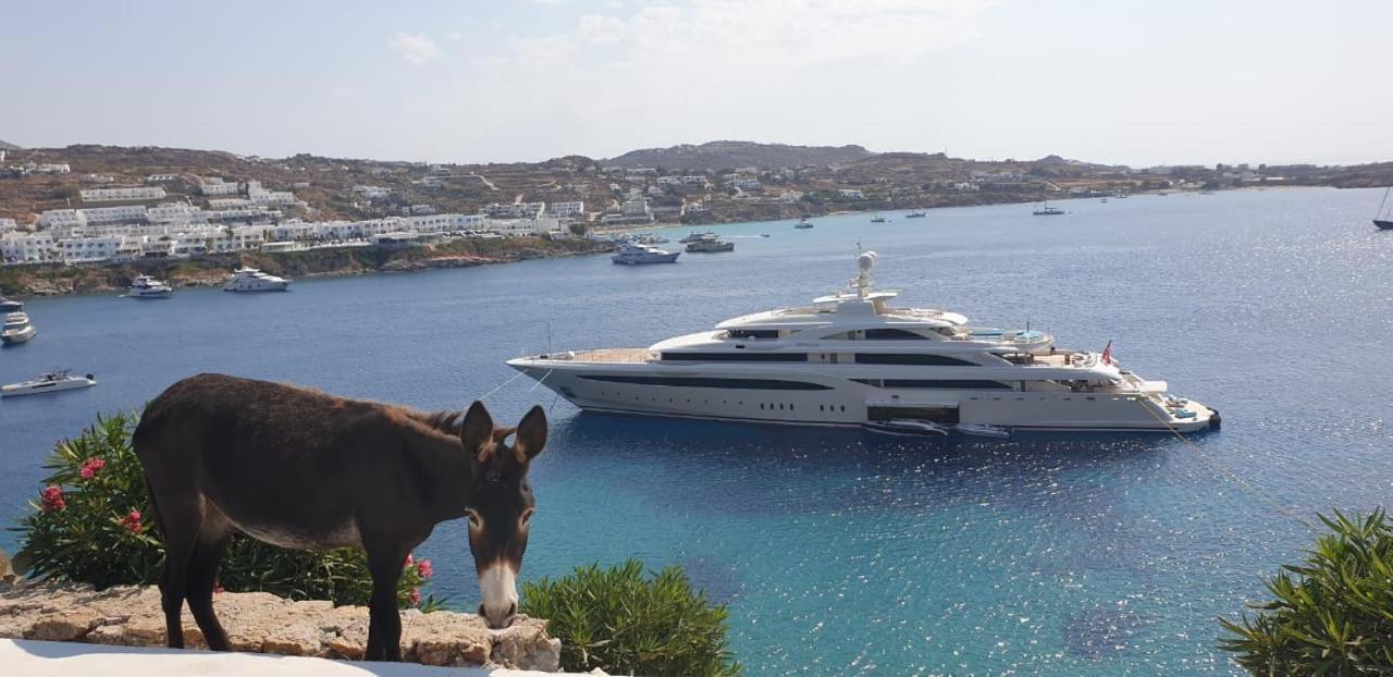 Mykonos Azure 3* Psarou (Mykonos)