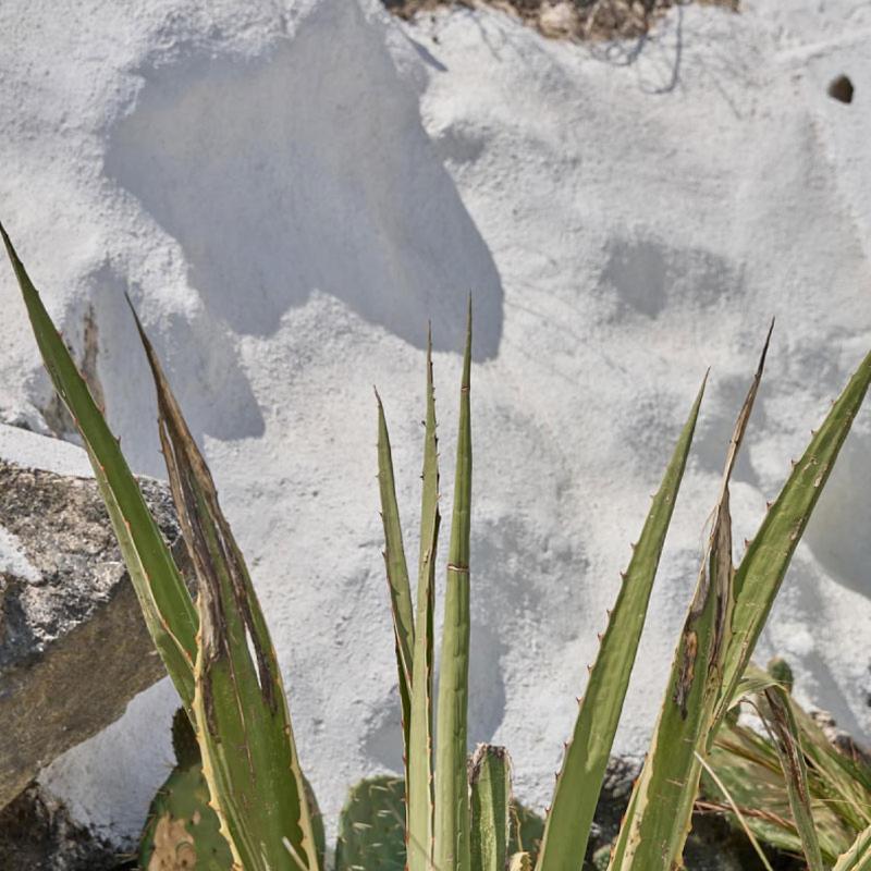 Topos Exclusive Santorini *