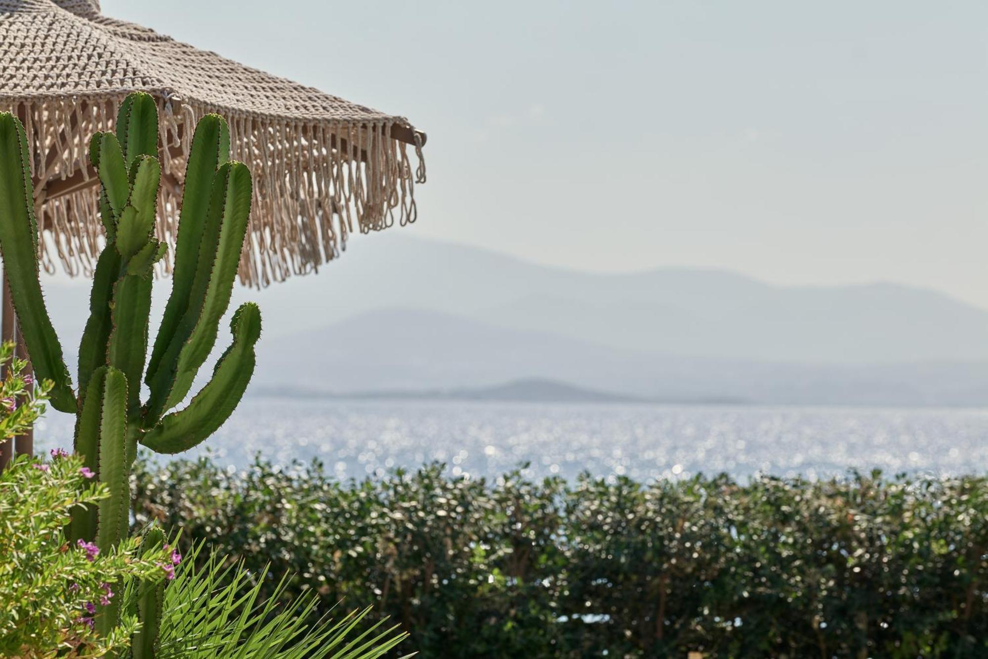 Mando Seaside Naousa (Paros)