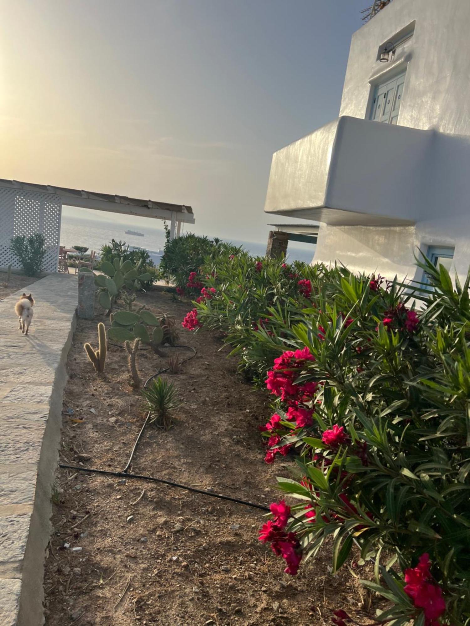 House By The Sea In Kea Cyclades Holiday home