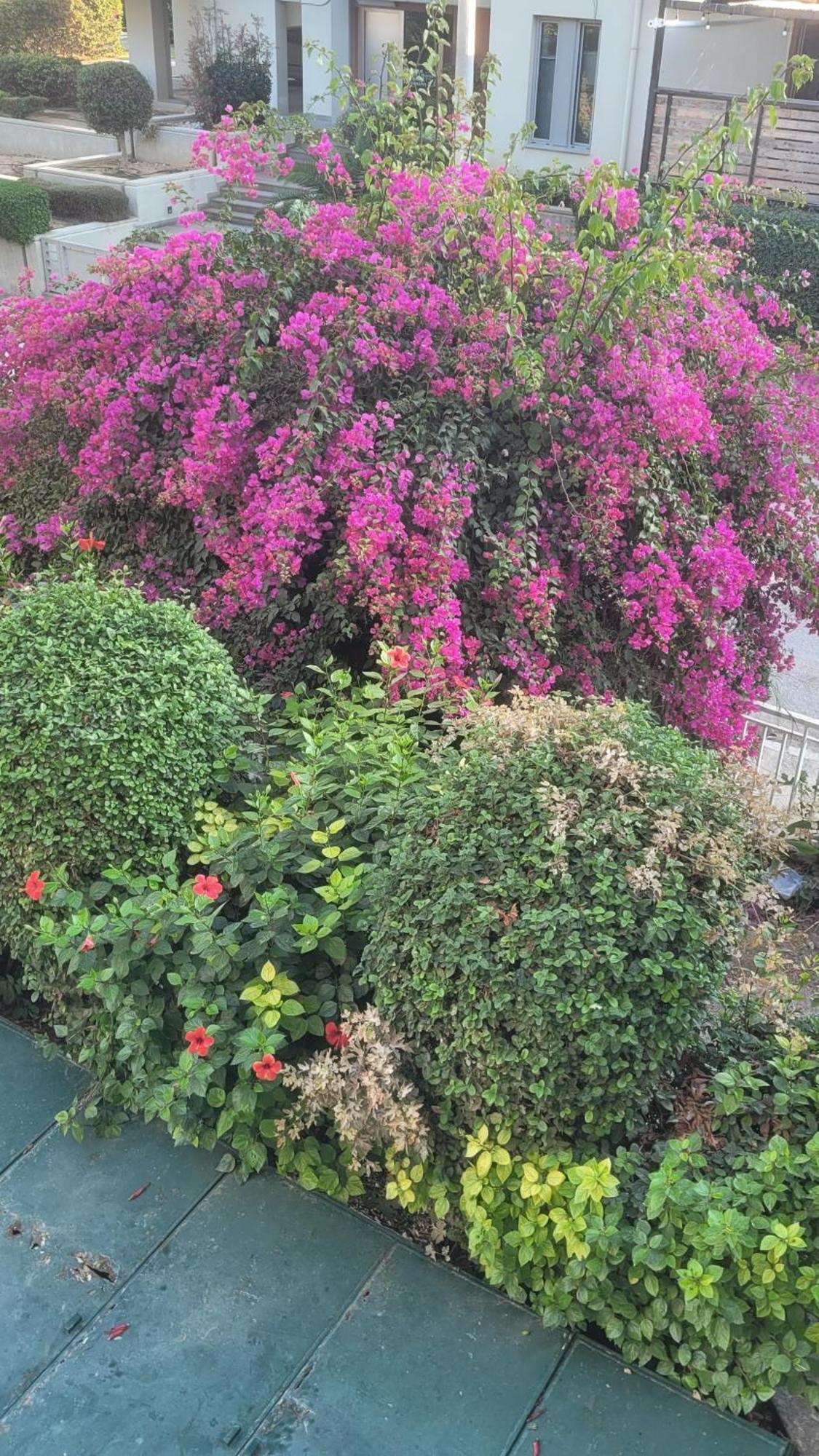 Porto Rafti Apartment