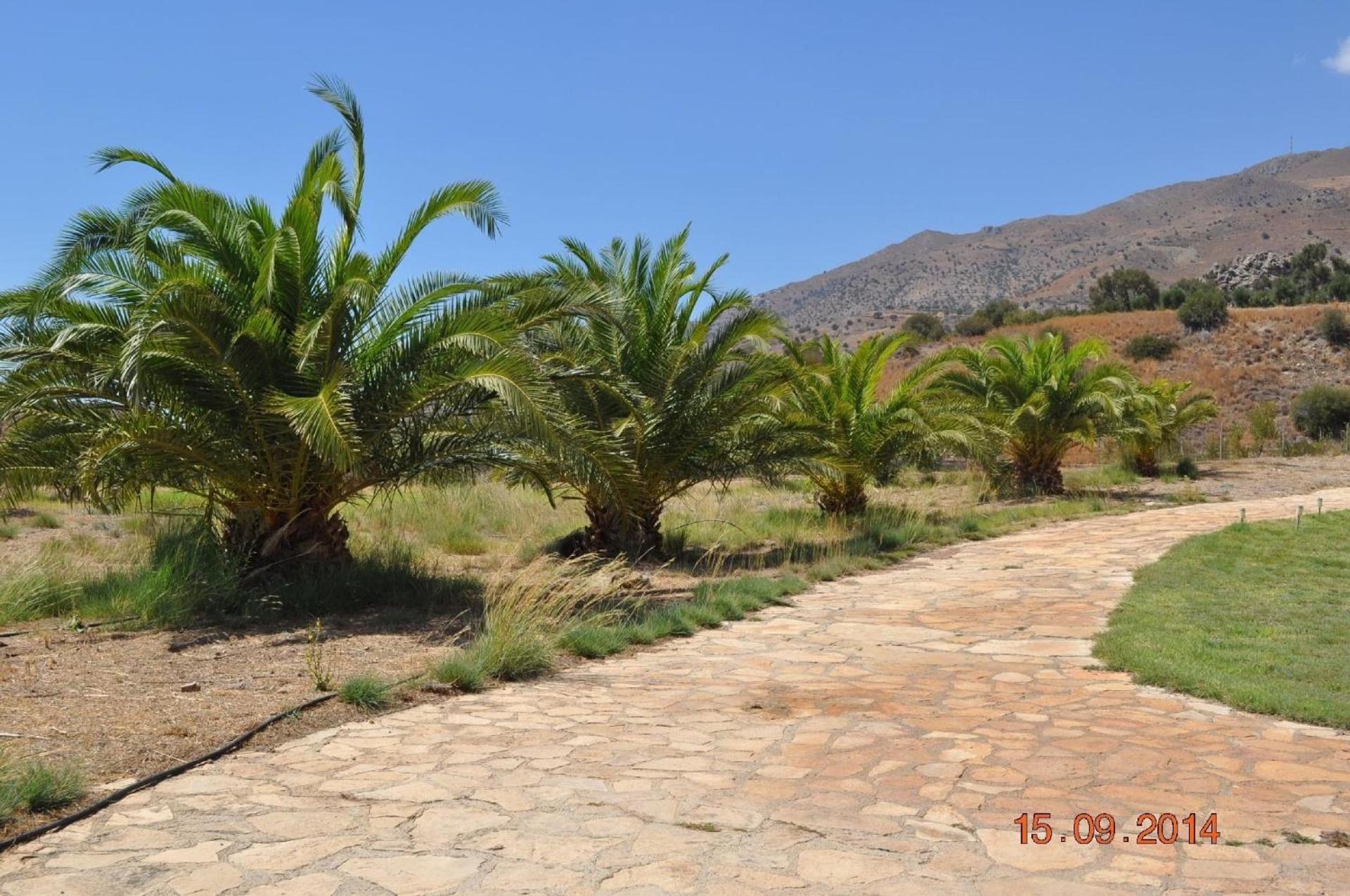 Holiday home Mit Privatpool Fuer 12 Personen In Agia Galini, Kreta