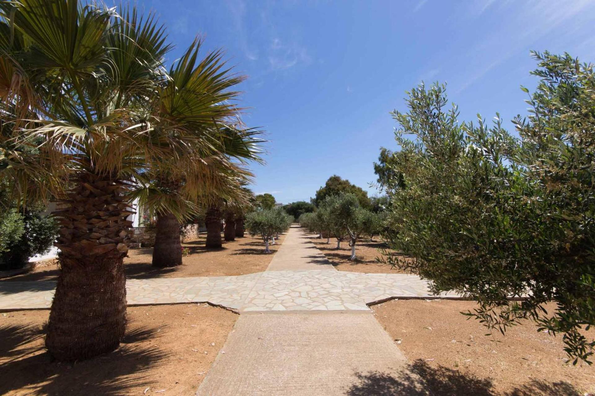Parosland Hotel Aliki (Paros)