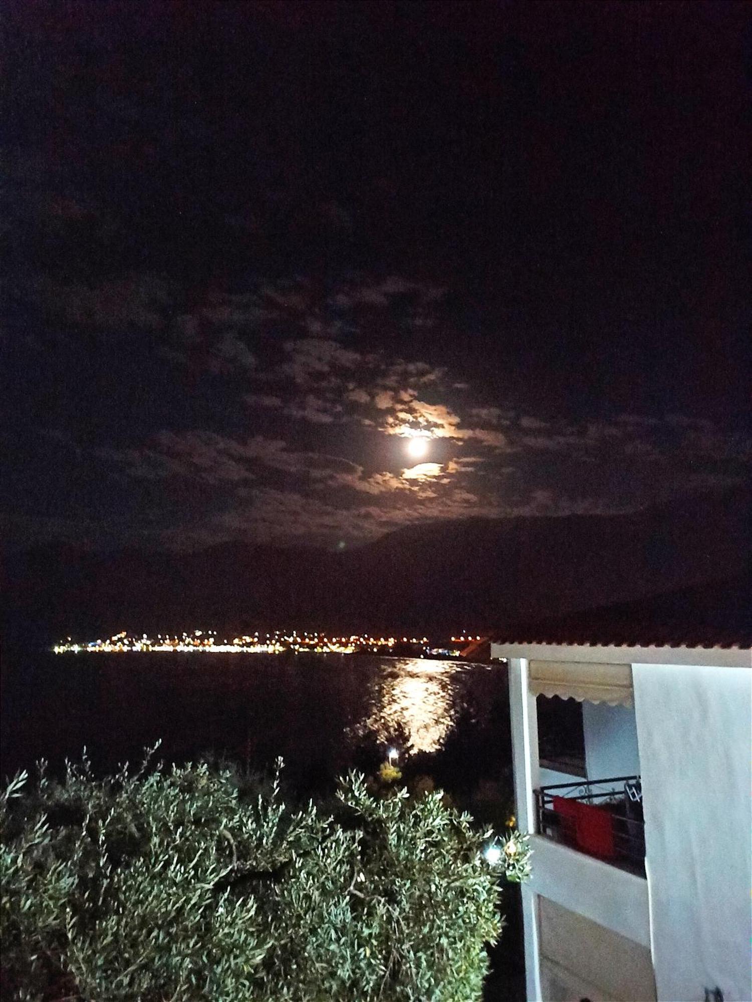Maria Chrysi Ammoudia