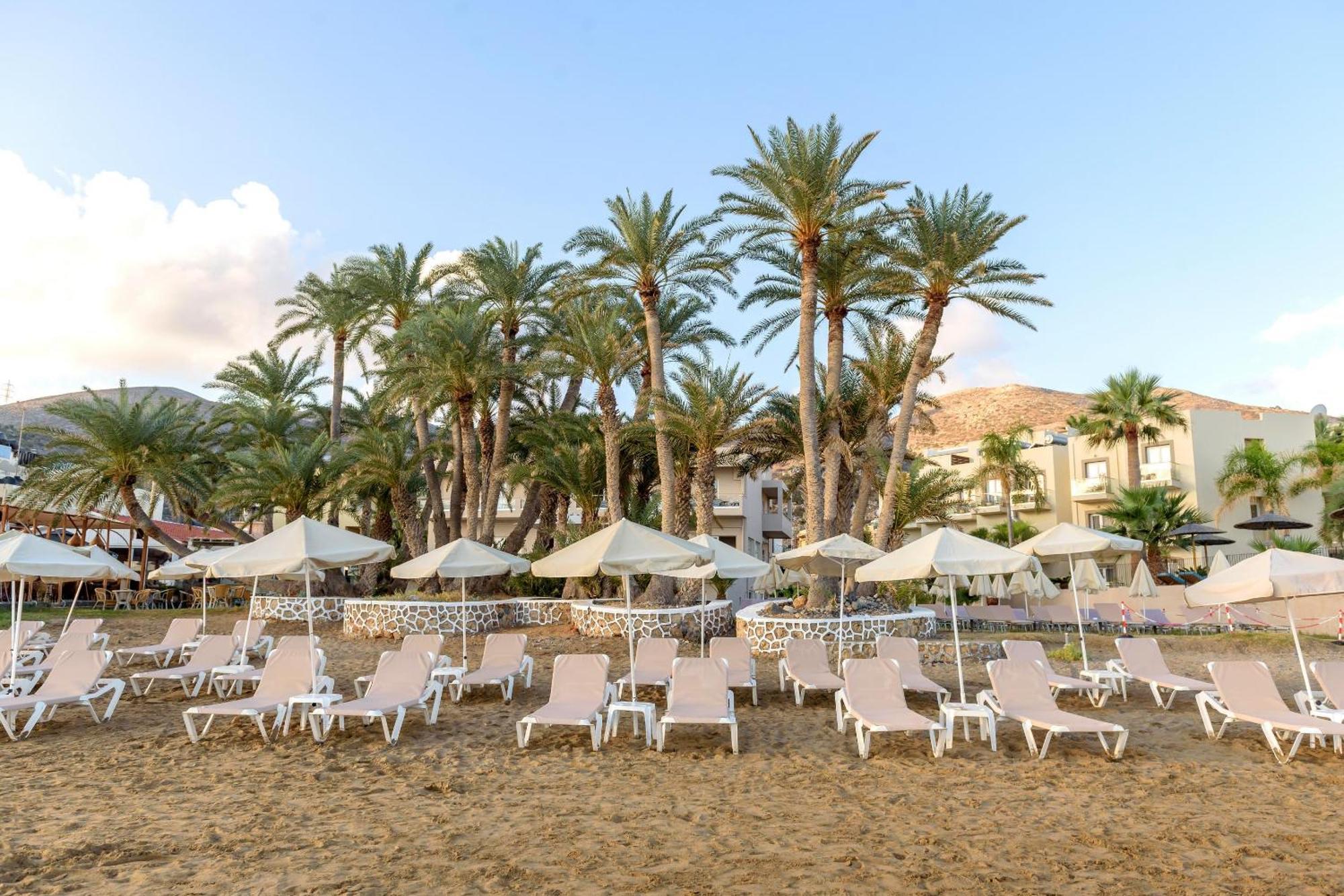 Hotel Zeus Palm Stalida