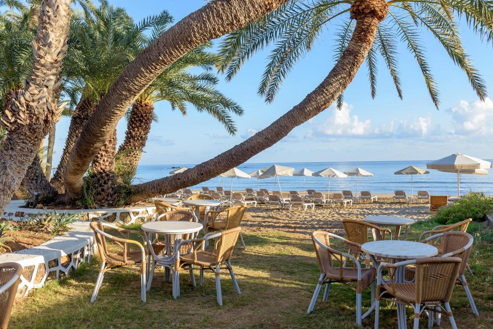 Zeus Palm