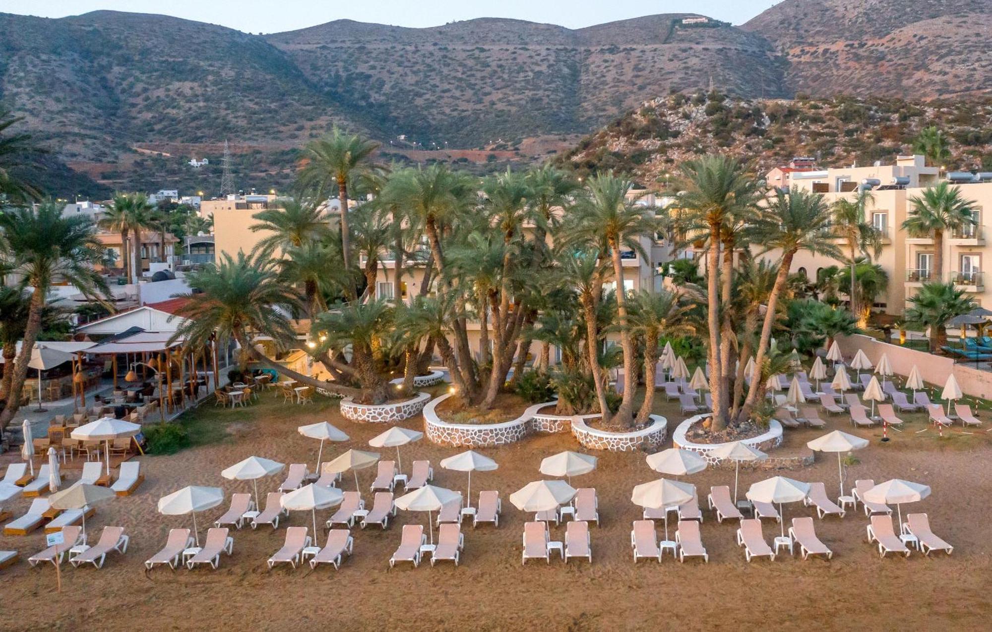 Zeus Palm 3* Stalida