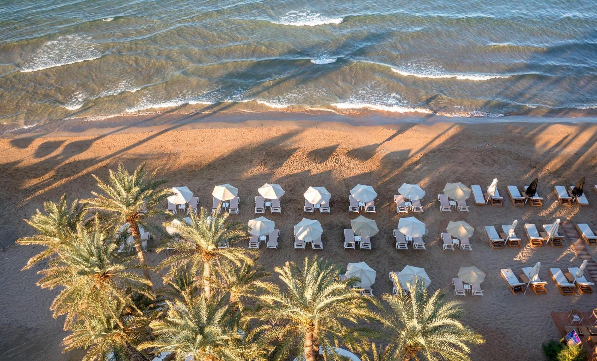 Hotel Zeus Palm