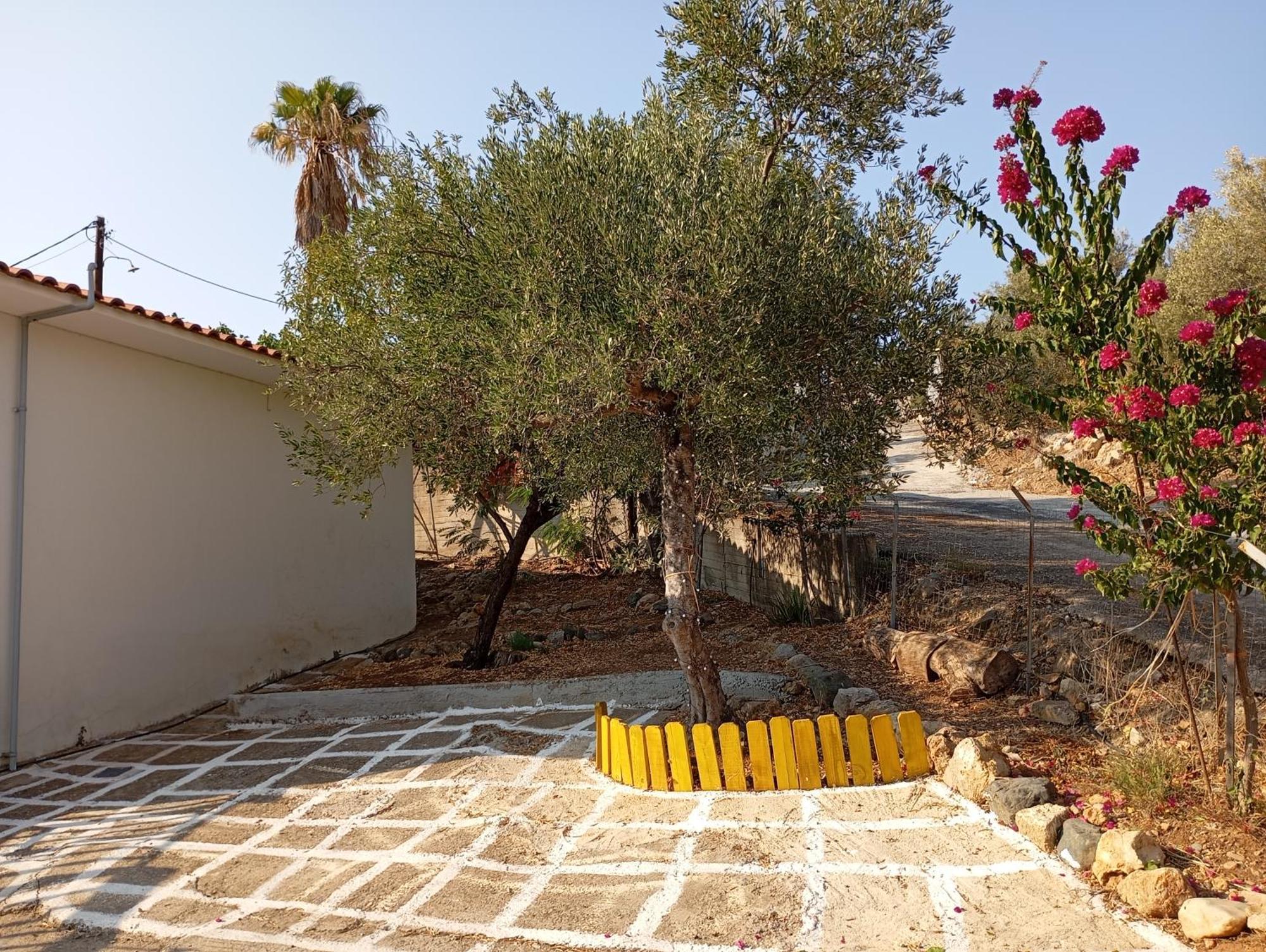 Blackmountain Sea Spot Holiday home