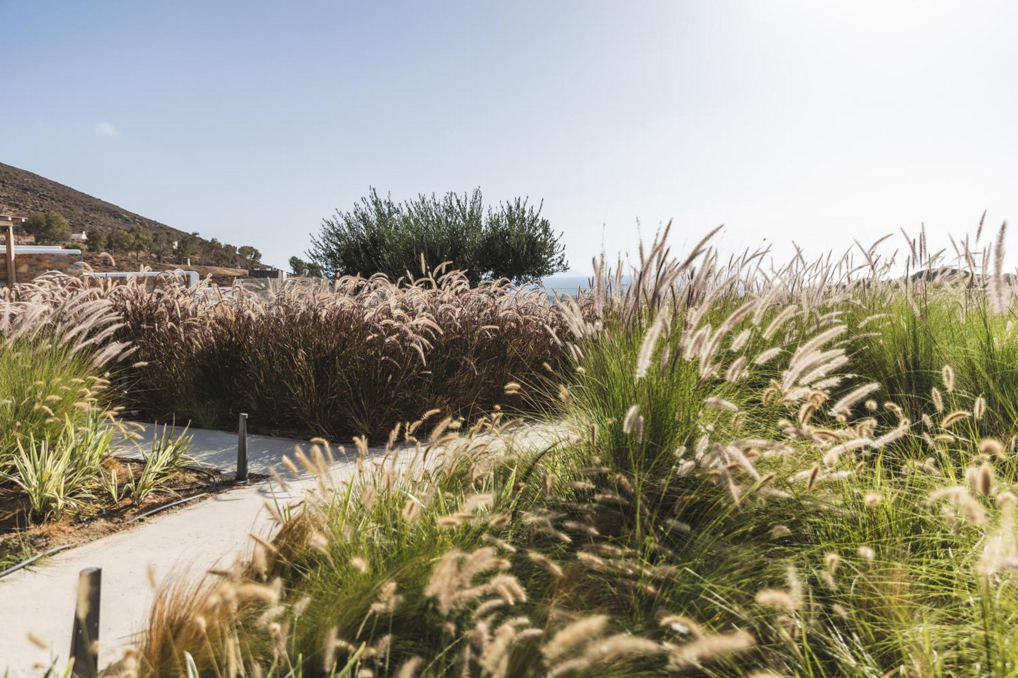 Harmony Luxury Naxos