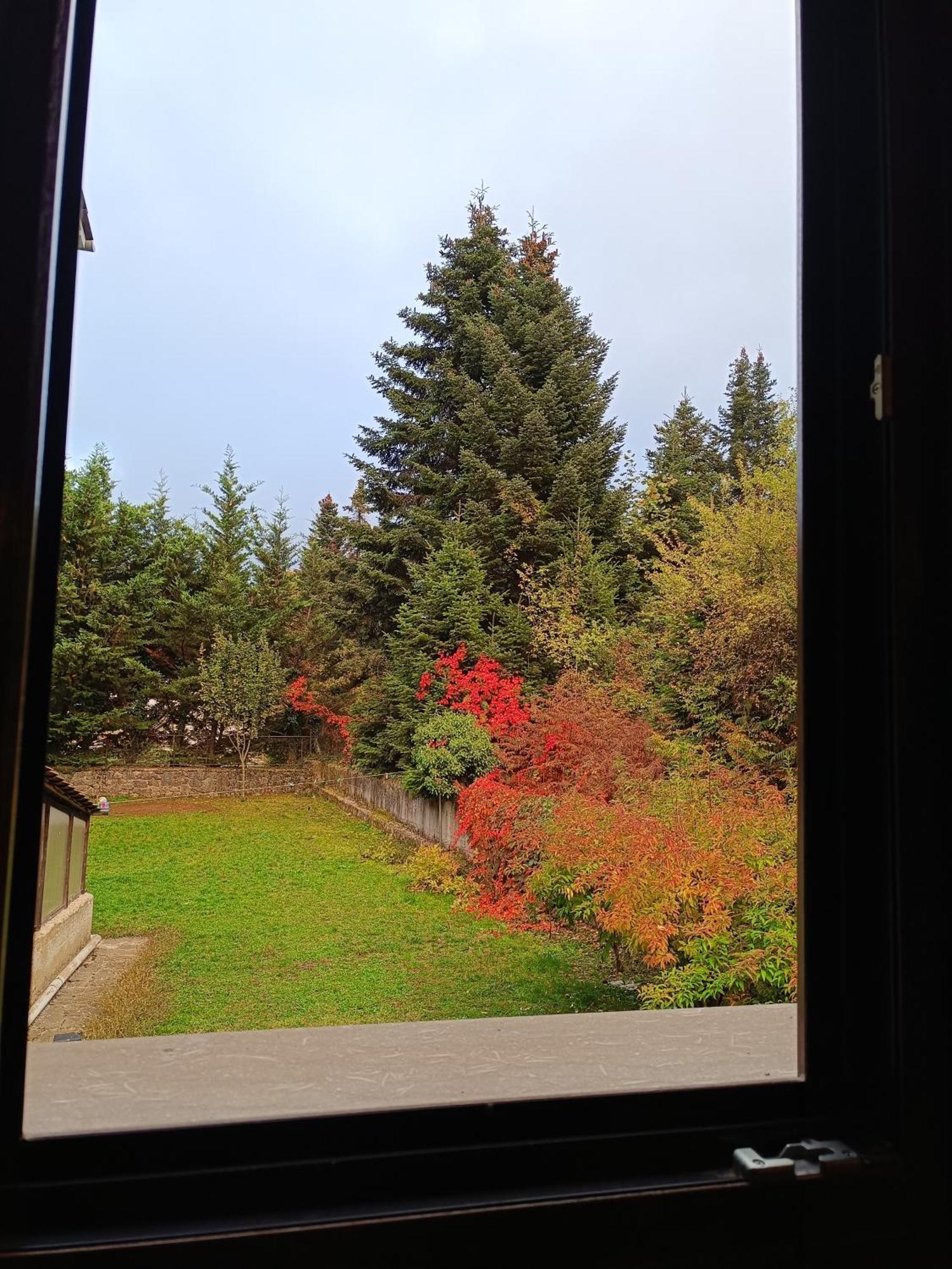 Baldeneige Guest house *
