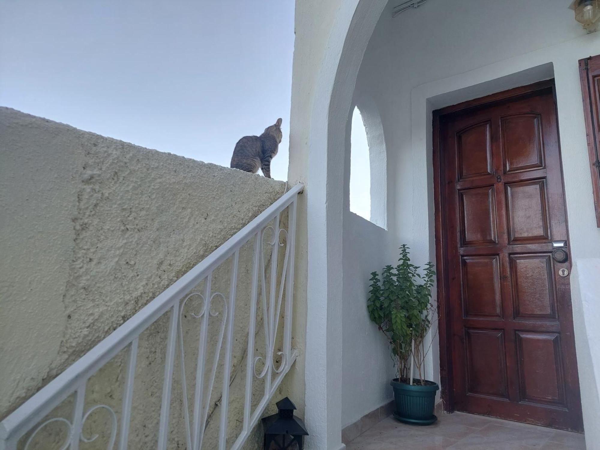 Evelina Pension: Diverse Near Black Guest house