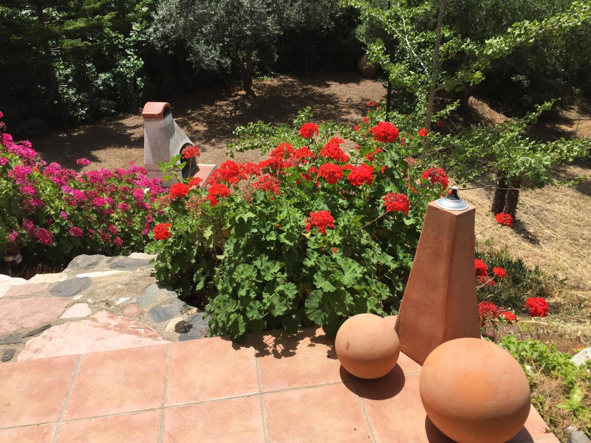 Carpe Diem Apartment Ziparion