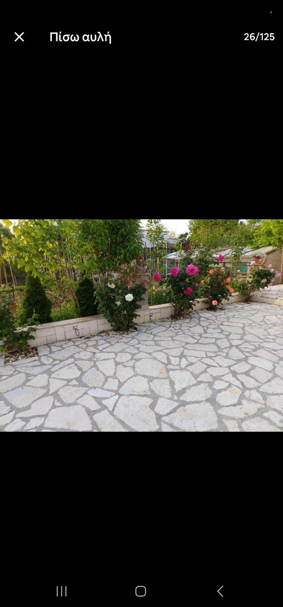 Akis House *