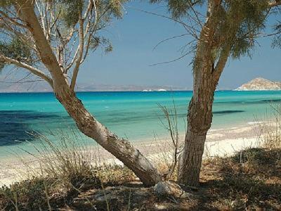 Apartment Palmos Self-catering With Sea View *
