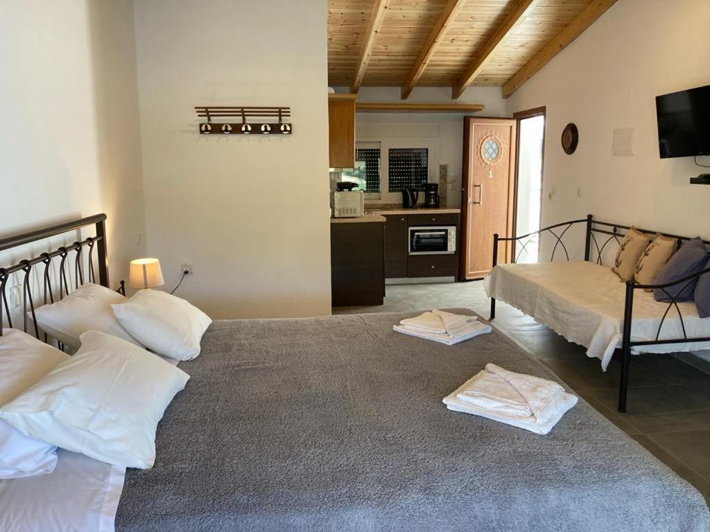 Apartment Limani Studio