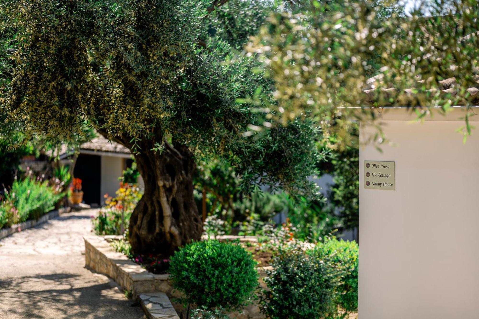 Villa Nissaki Olive Press