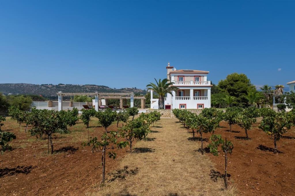 Villa Vinaria Litoa Minia