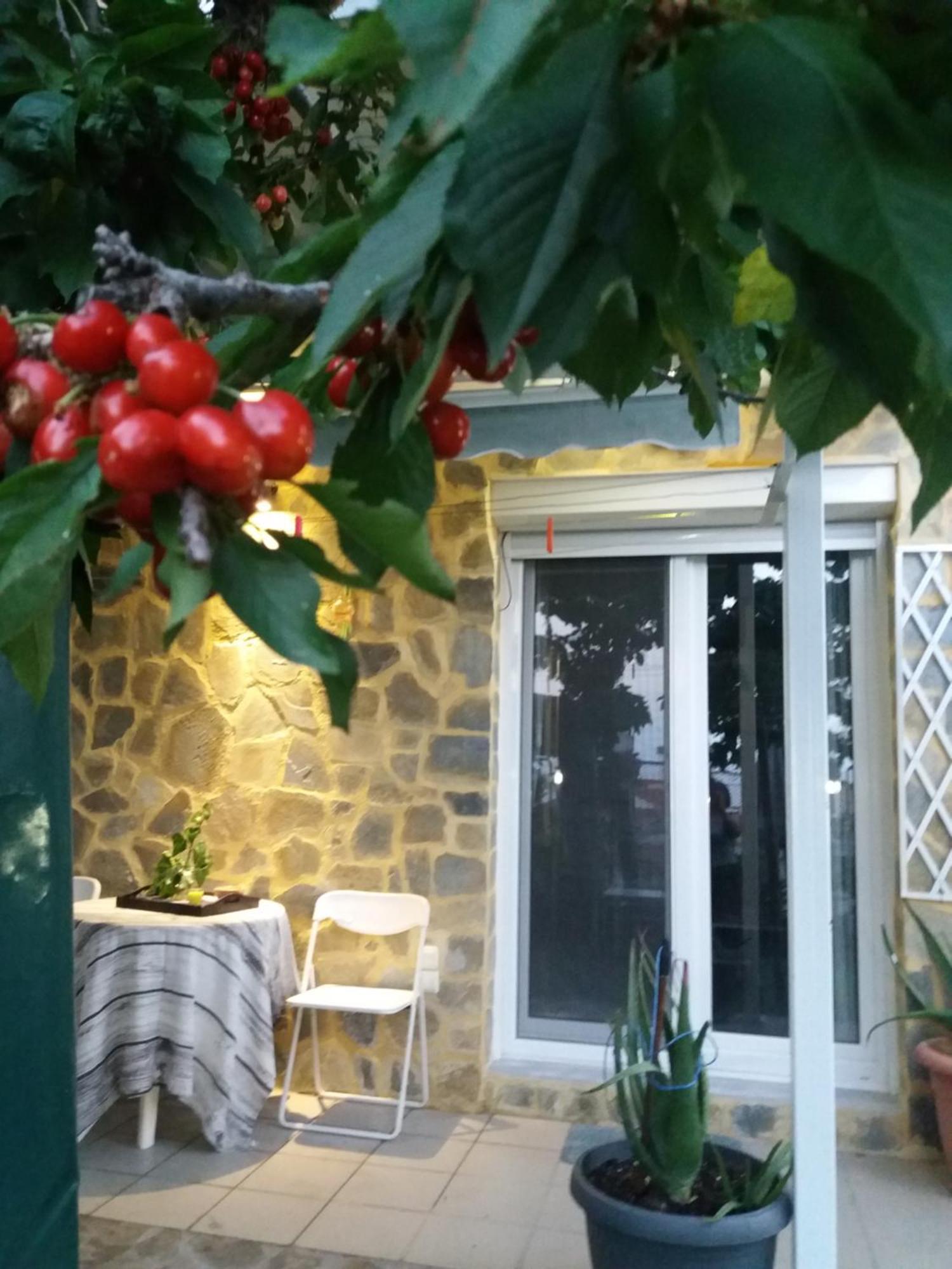 Garden's House Apartment Kavala