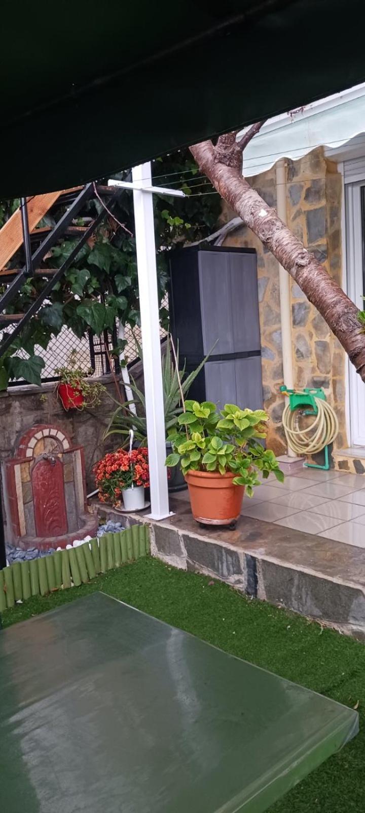 Garden's House Apartment *