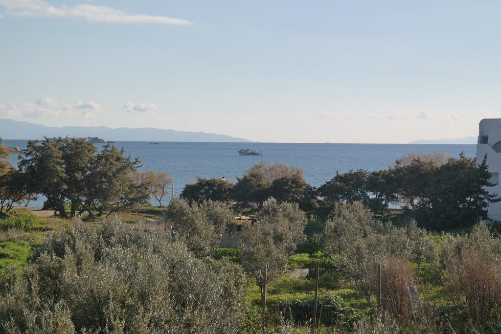 Mina's In Naxos Island 2*