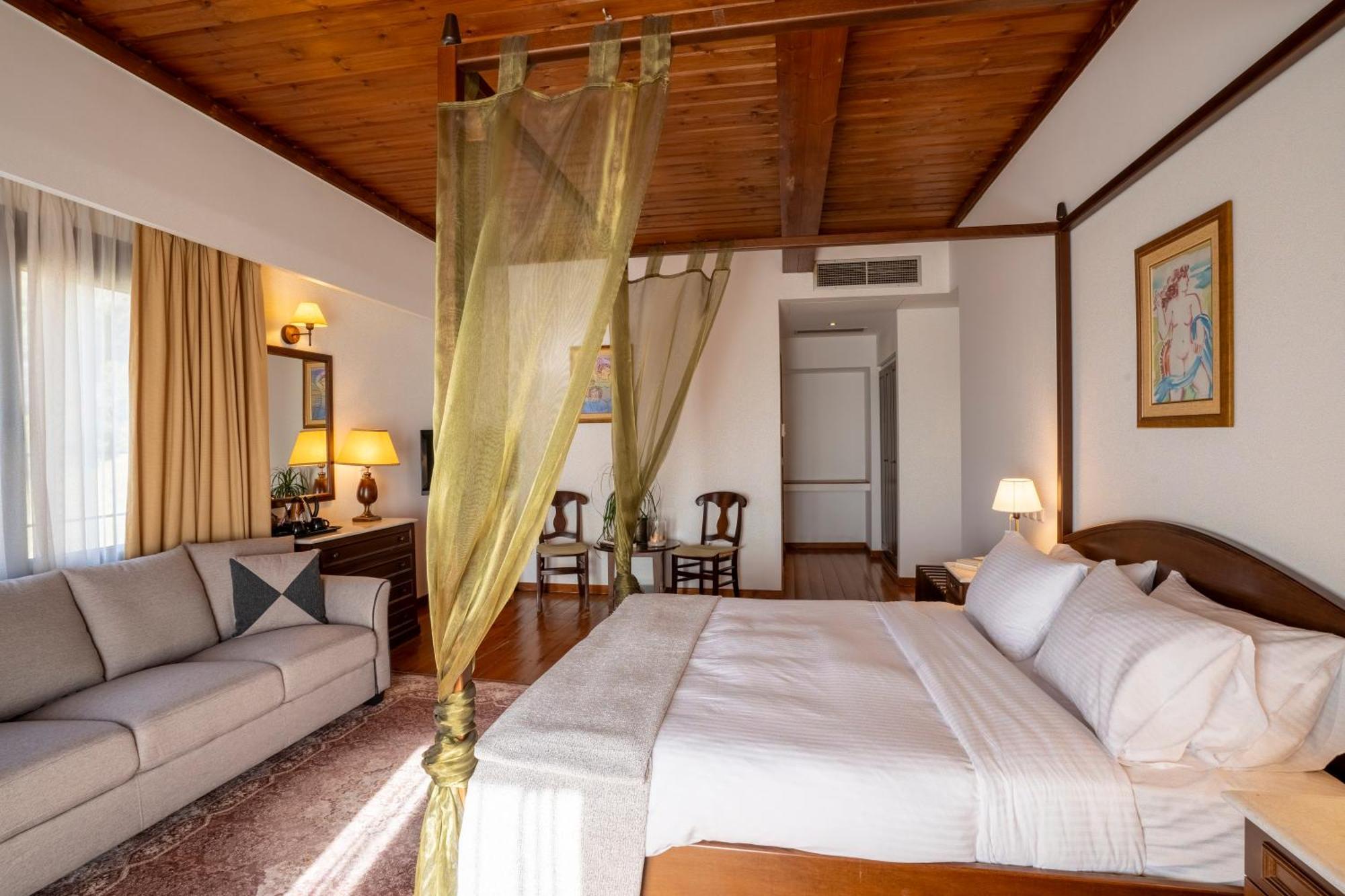 Hotel Anemolia Mountain 4*