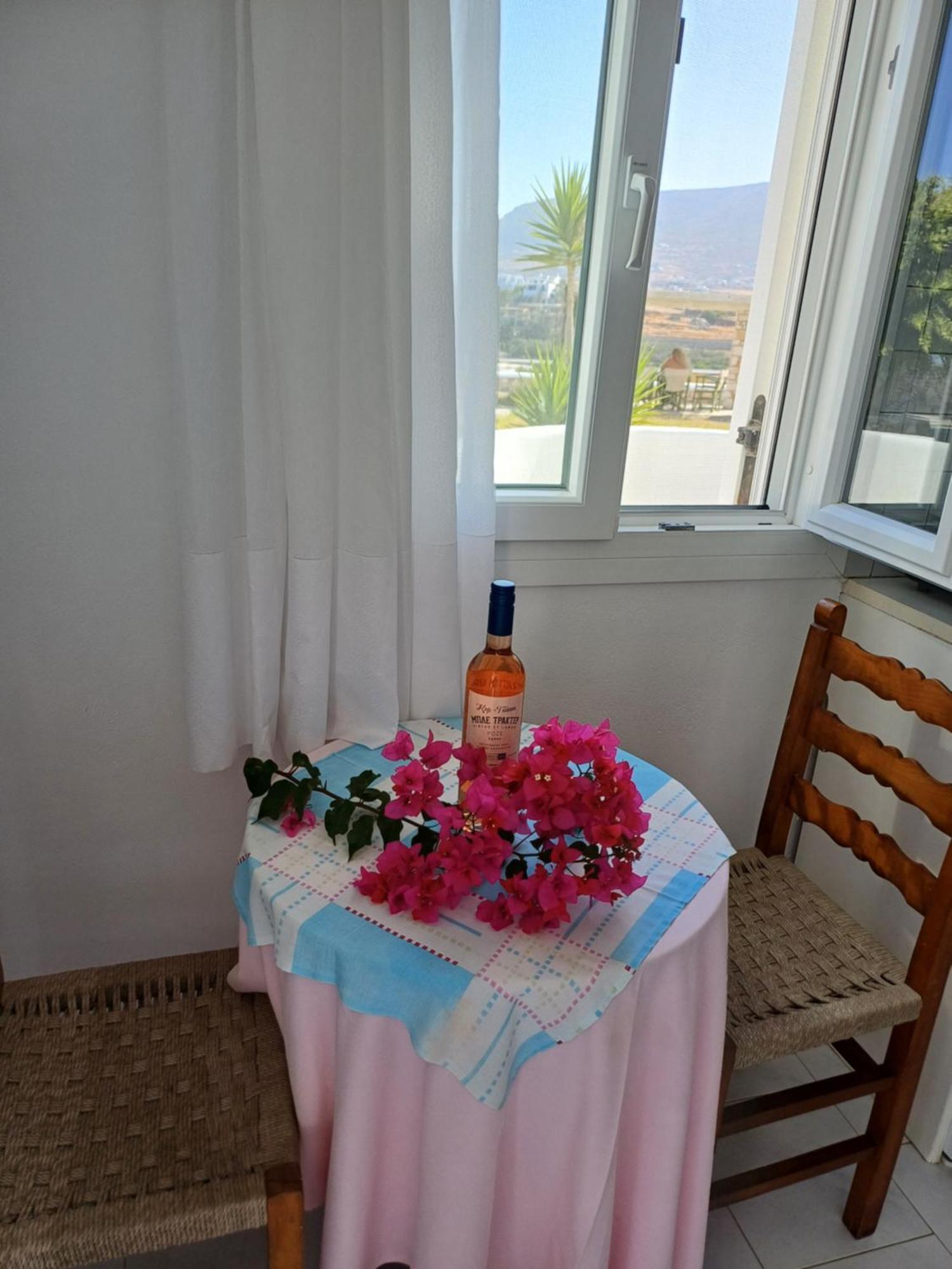 Mirsini Apartment Parasporos