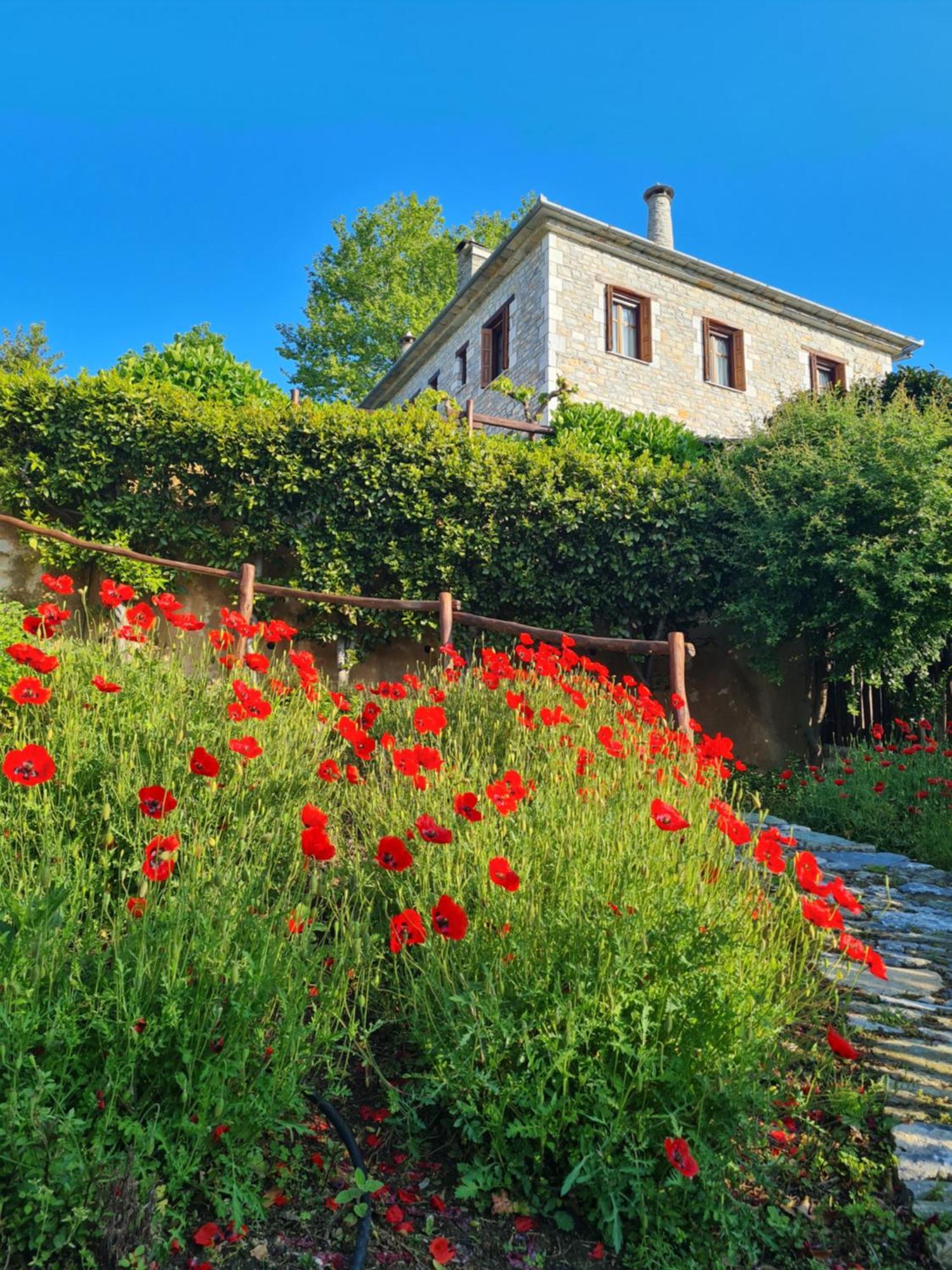 Amanita Boutique Guest house Tsagarada