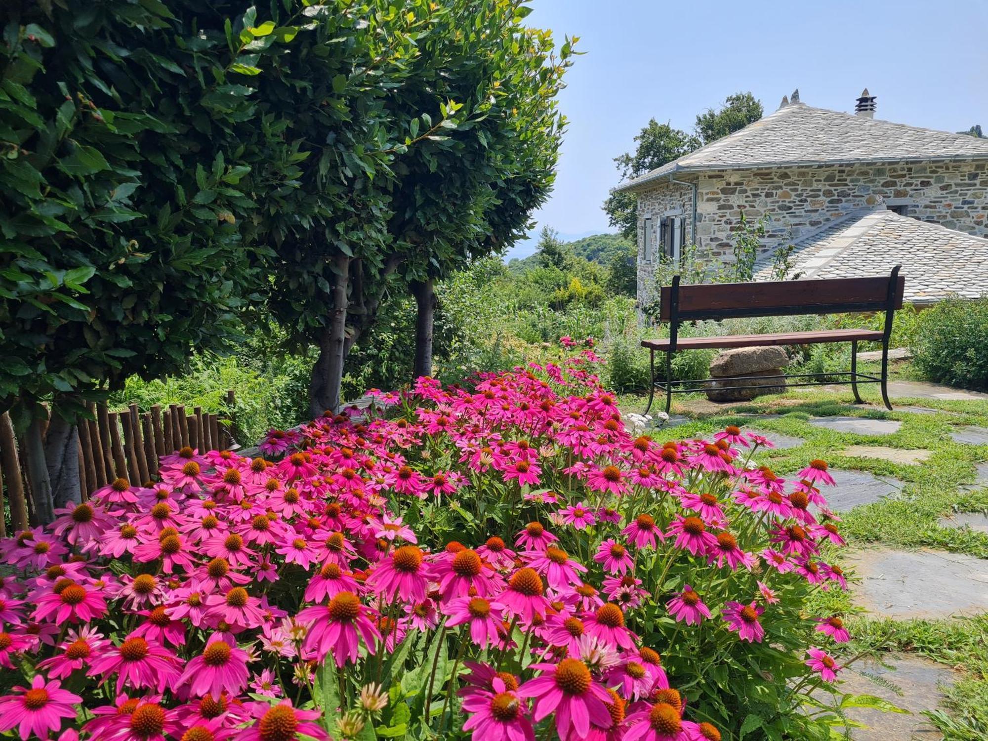 Guest house Amanita Boutique Tsagarada